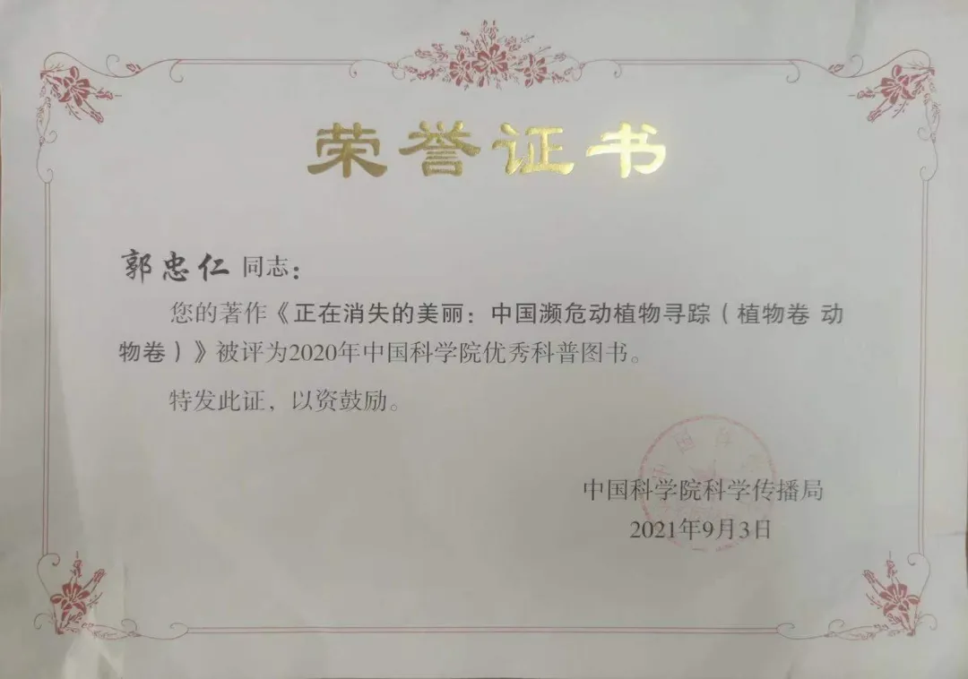 from clipboard from clipboard